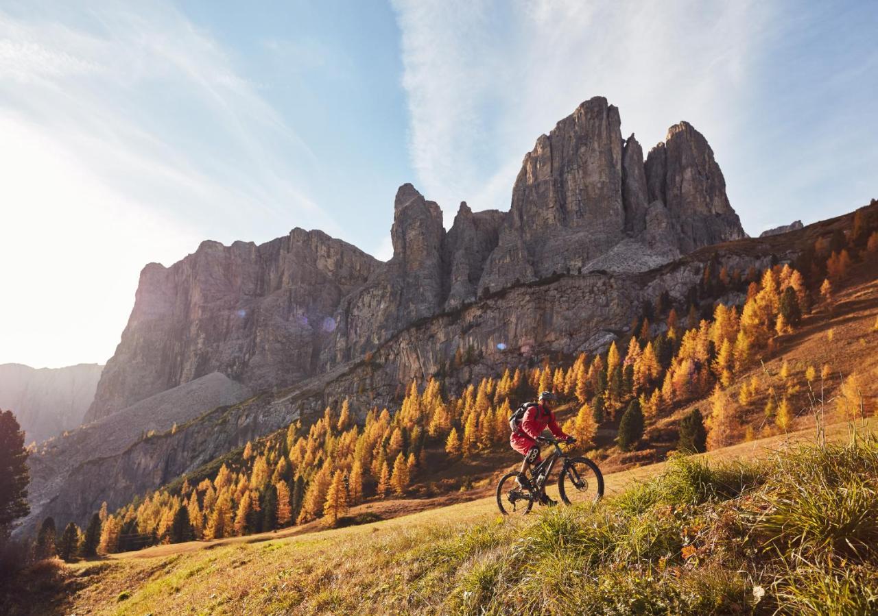 Chalet Elisabeth Sëlva di Val Gardena Eksteriør billede