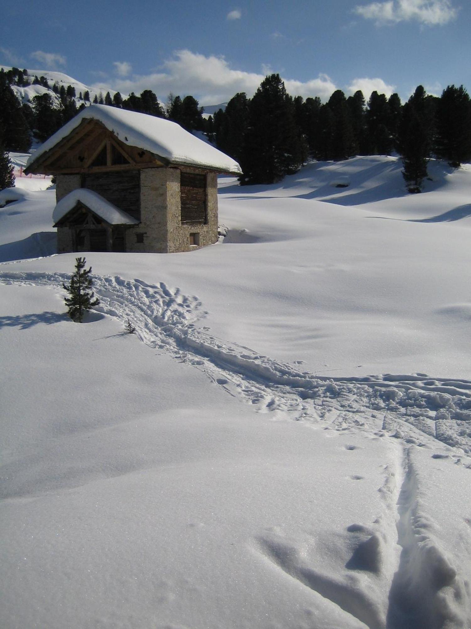 Chalet Elisabeth Hotel Sëlva di Val Gardena Eksteriør billede