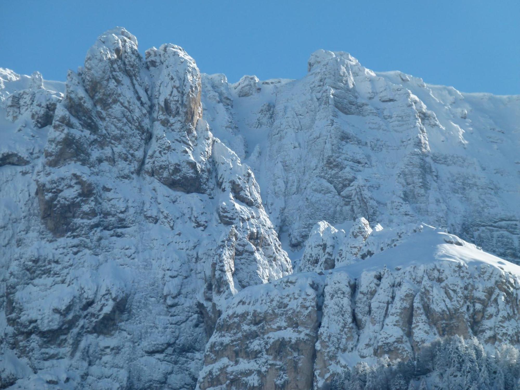 Chalet Elisabeth Hotel Sëlva di Val Gardena Eksteriør billede