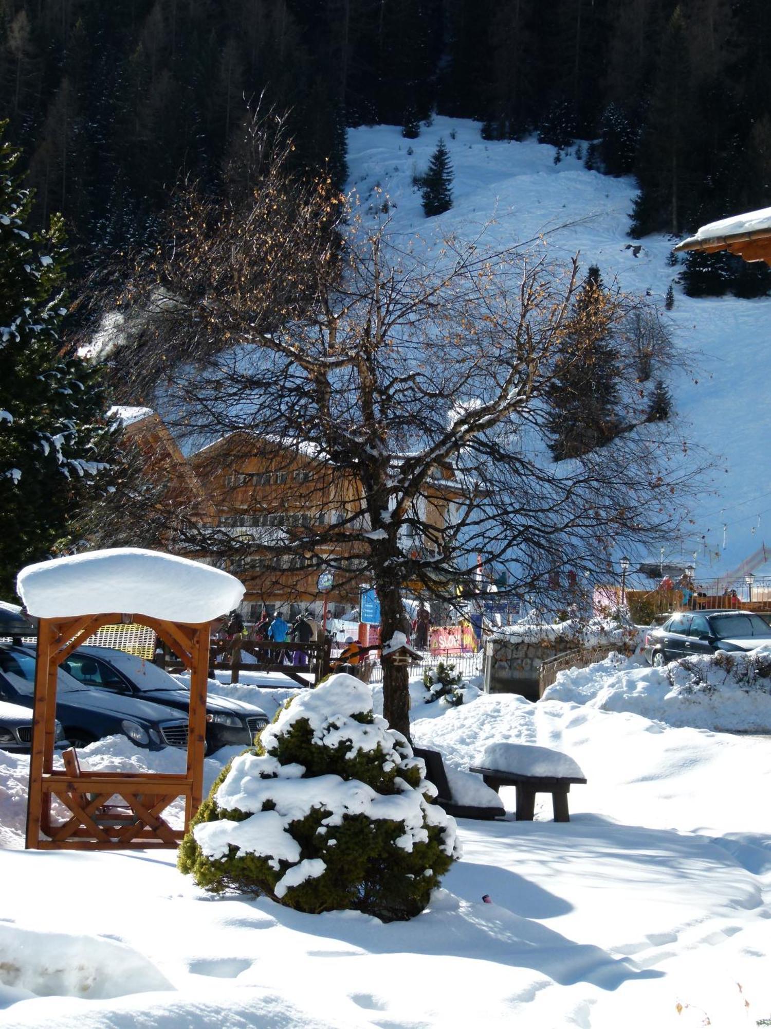 Chalet Elisabeth Hotel Sëlva di Val Gardena Eksteriør billede