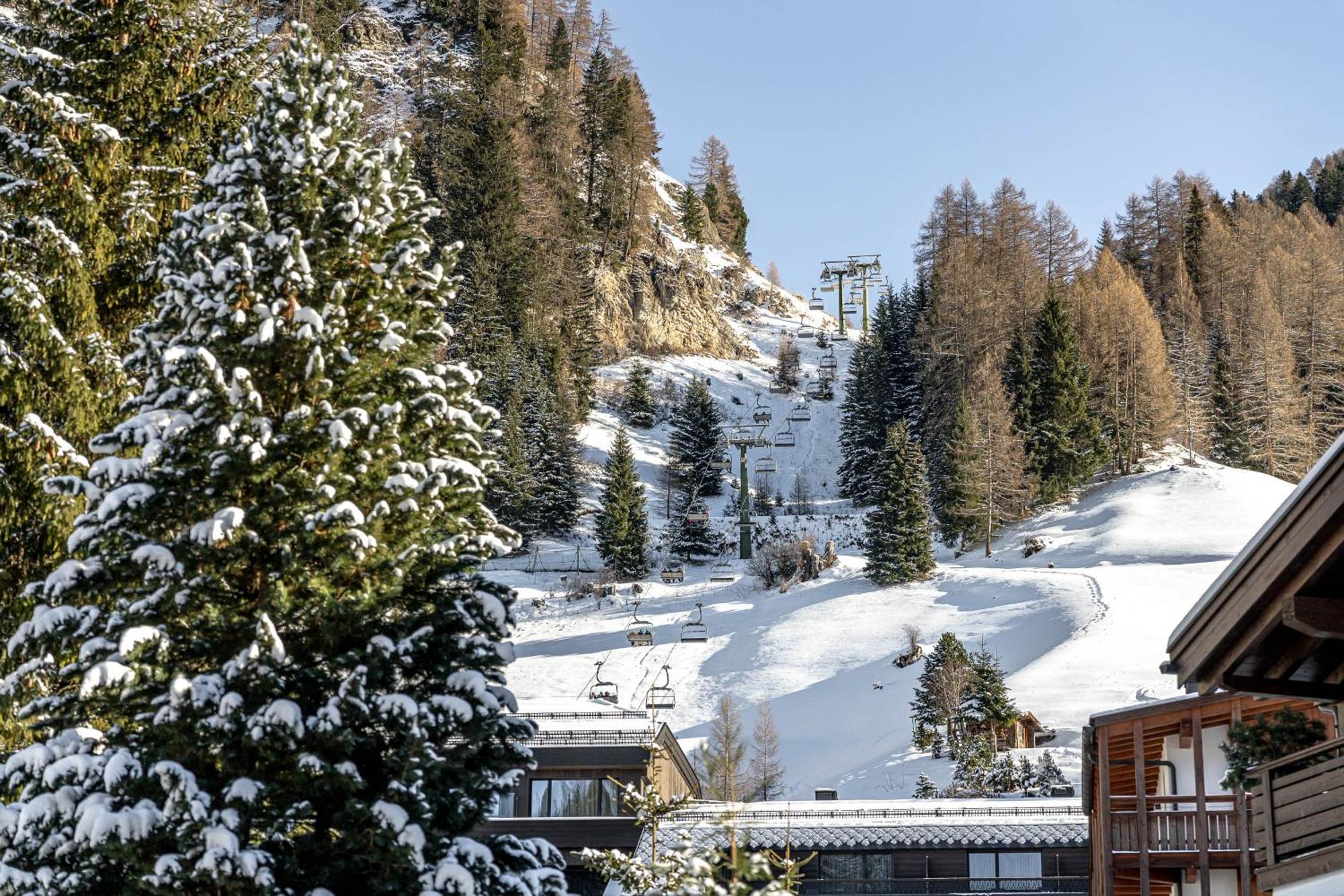 Chalet Elisabeth Sëlva di Val Gardena Eksteriør billede